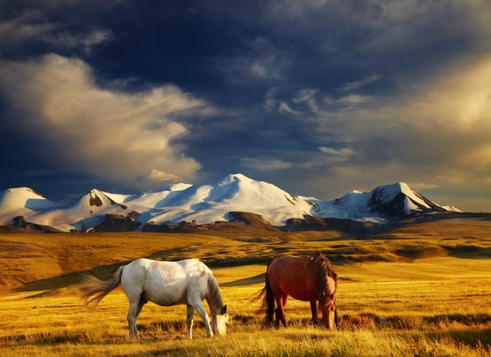 While traveling to Mongolia, please keep in mind some routine vaccines such as Hepatitis A, Hepatitis B, etc.